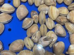 -澜小宴·胶东海鲜烟台味(时光塔店)