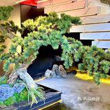 五一来济南玩！去熙兴记真的有面！