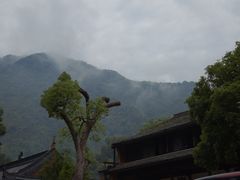 -天台山景区