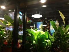 -麻省理功-深海烤鱼(昆城广场店)