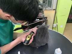 -沐沐家宠物(成寿寺店)