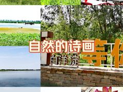 -白洋淀景区