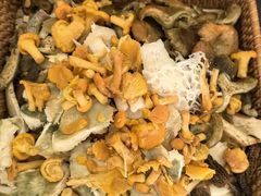 -山菌美食苑(振兴路店)