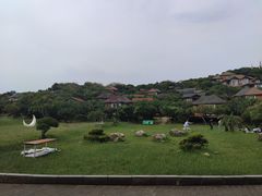 -杨梅坑