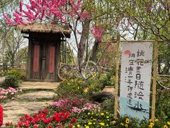 -圩墩遗址公园