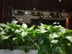 -多福饺·家常菜(谷德店)