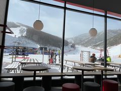 -密苑云顶乐园(云顶滑雪场)