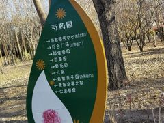 -长春公园(普阳街道)