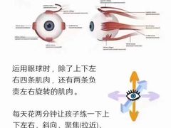 -金色雨林感统训练·专注力·语言认知·心理沙盘(天通苑校区)