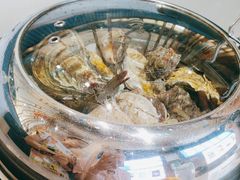 -大锅强·蒸海鲜青岛菜(吾悦广场店)