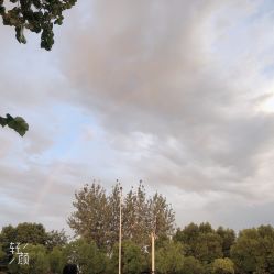 -YESIDO椰岛造型