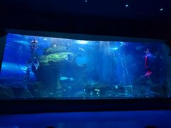 -多彩贵州城极地海洋世界