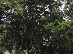 -荔湾湖公园