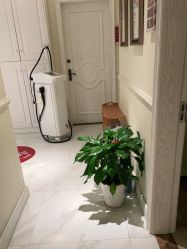 -静博士·养生养颜