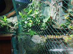 -太平洋海底世界