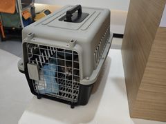 -阿荣24H宠物医院·综合型转诊中心·CT·核磁影像中心