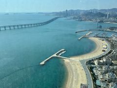 -大连君悦酒店·星海湾壹号Dalian·Dalian(星海广场店)