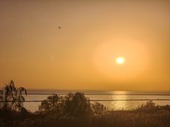 -合肥滨湖国家森林公园