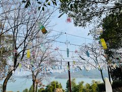 -天目湖涵田半山温泉