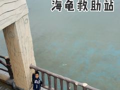 -广东惠东海龟国家级自然保护区