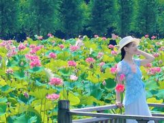 -嘉北郊野公园