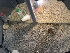 -宠物世家(仲盛世界商城店)