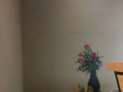 -网鱼电竞(杨浦中原店)