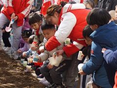 -井德幼儿园(韦伯豪园)