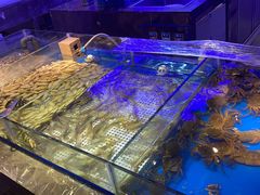 -深海壹品海鲜自助餐厅(吾悦广场店)