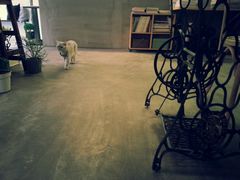 -研途咖啡馆(健康路店)