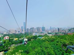 -富斯特索道