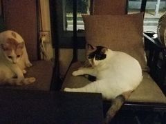 -江湖边·小生活