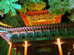 -高庙保安寺