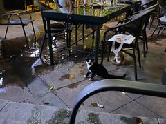 -爱啤精酿·民谣酒馆(滨江店)