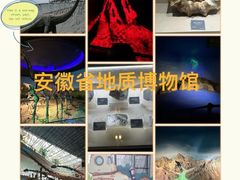-安徽省地质博物馆
