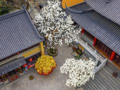 -灵谷景区
