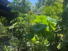 -院子餐厅·大锅菜·老杭帮(桥西直街店)