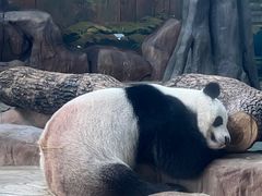 -南宁市动物园