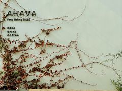 -AHAVA·Fang Baking Studio