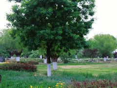 -汉长安城未央宫国家考古遗址公园