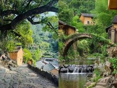 -杨家堂村