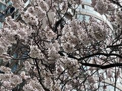 -红星桥(地铁站)