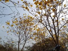 -清远熹乐谷温泉度假酒店