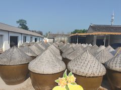 -苏州市吴中区光福窑上花果蜜饯厂