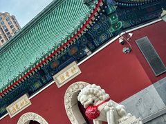 -天津大悲禅院