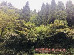 -娄山关景区