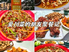 -方脑壳