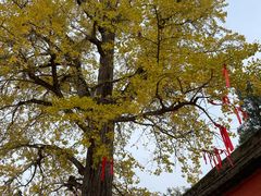 -金堂县云顶石城风景区