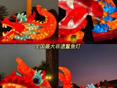 -美的鹭湖森林度假区