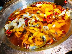 -雲蜀龙阁·金牌水煮鱼(方庄店)